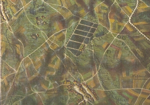 Neufeld-stinkenbrunn