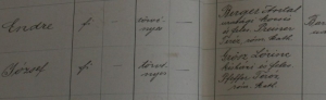 Matrikelbücher wurden bis 1922 in ungarischer Sprache geführt. 