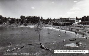 Neufelder See 1966