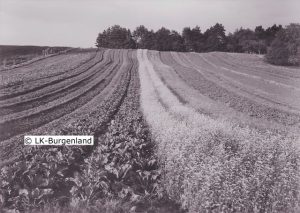 Bodenreform