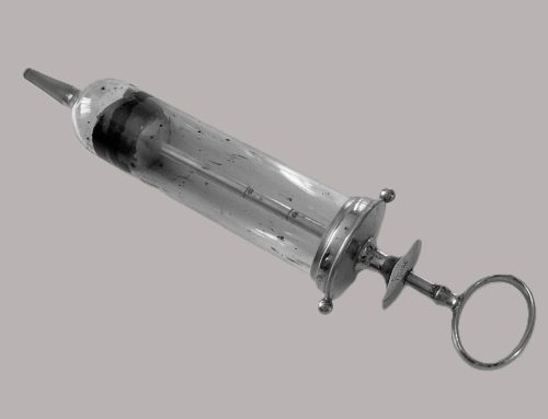 Typhus in Kleinhöflein